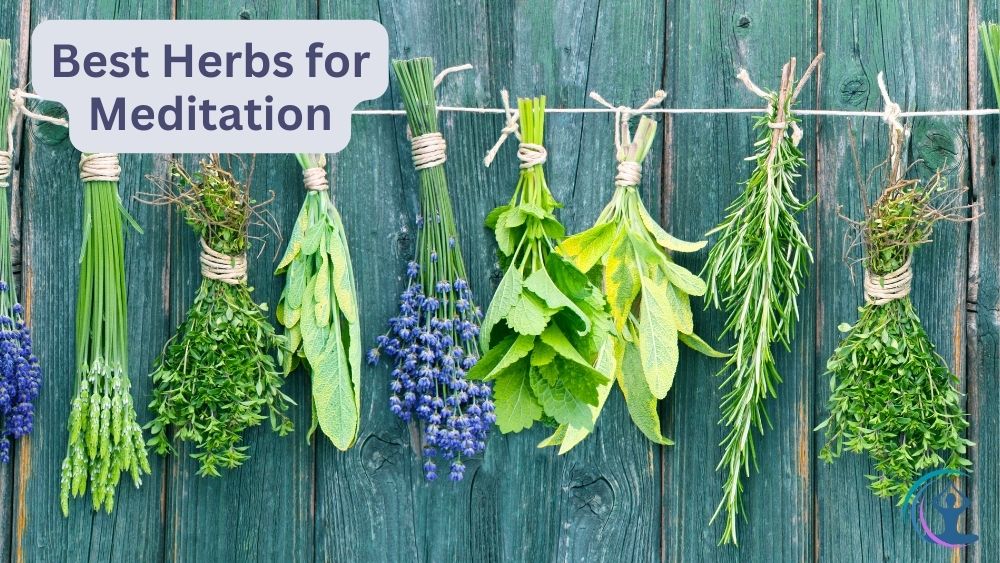 Best Herbs for Meditation Enhance Your Practice with These Natural
