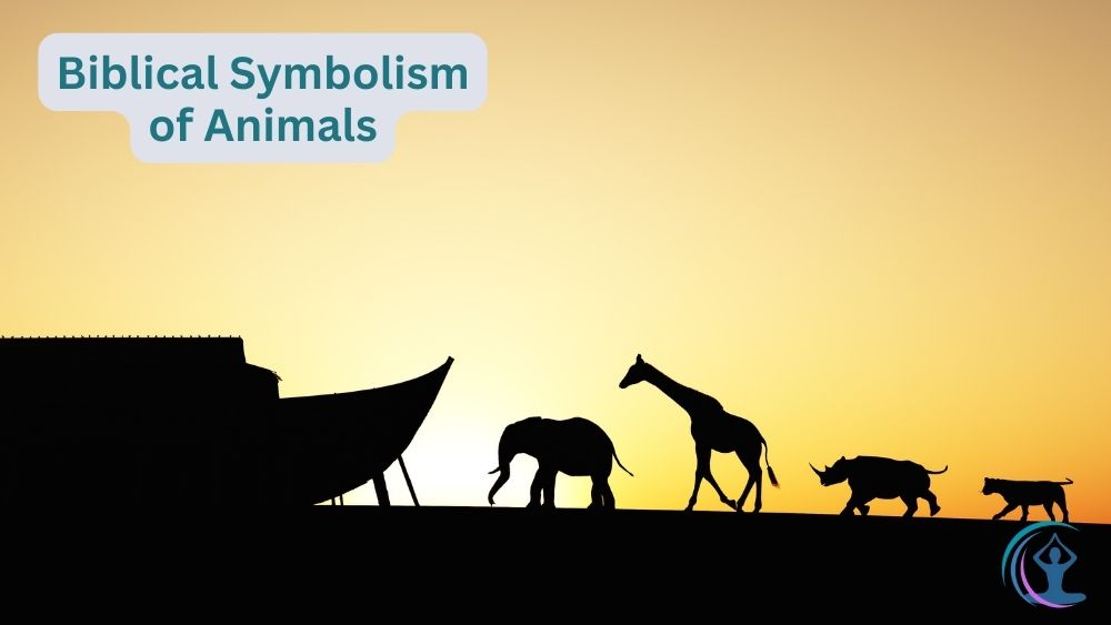 Biblical Symbolism of Animals The Flow Living